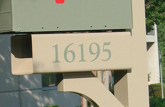 IMG-0831.jpg