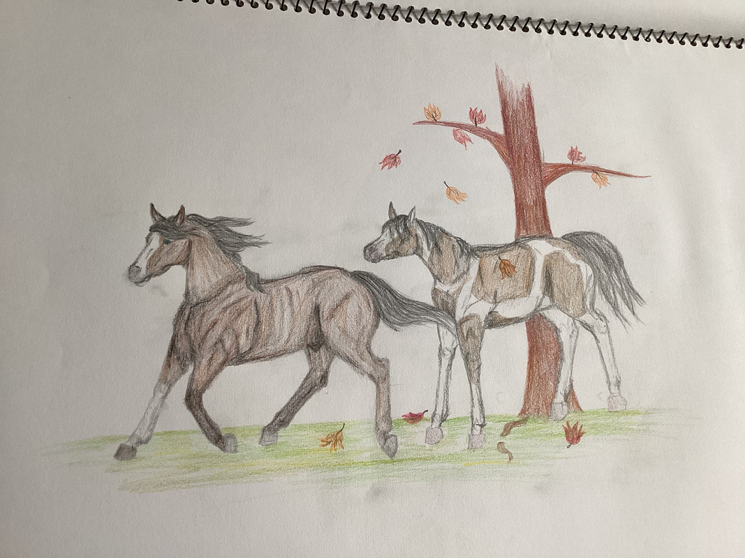 216FD99C-F35E-4EB8-B038-45EF55C4A37D