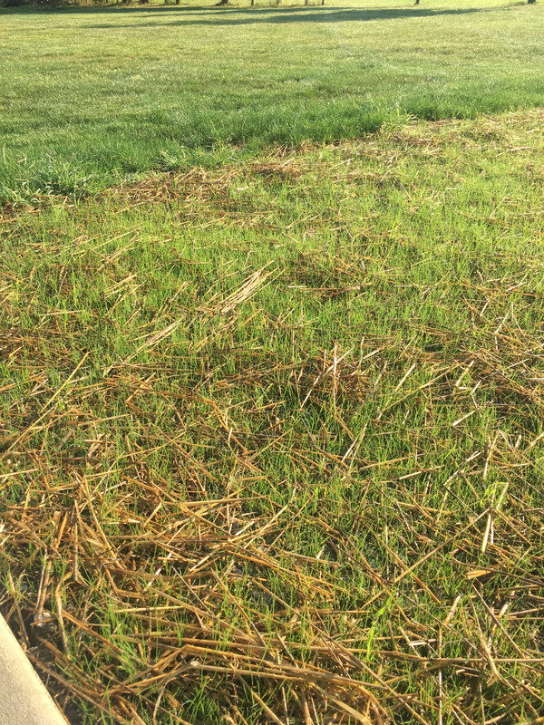 01073B1C-AAD3-4940-A1EE-3159E9B75857