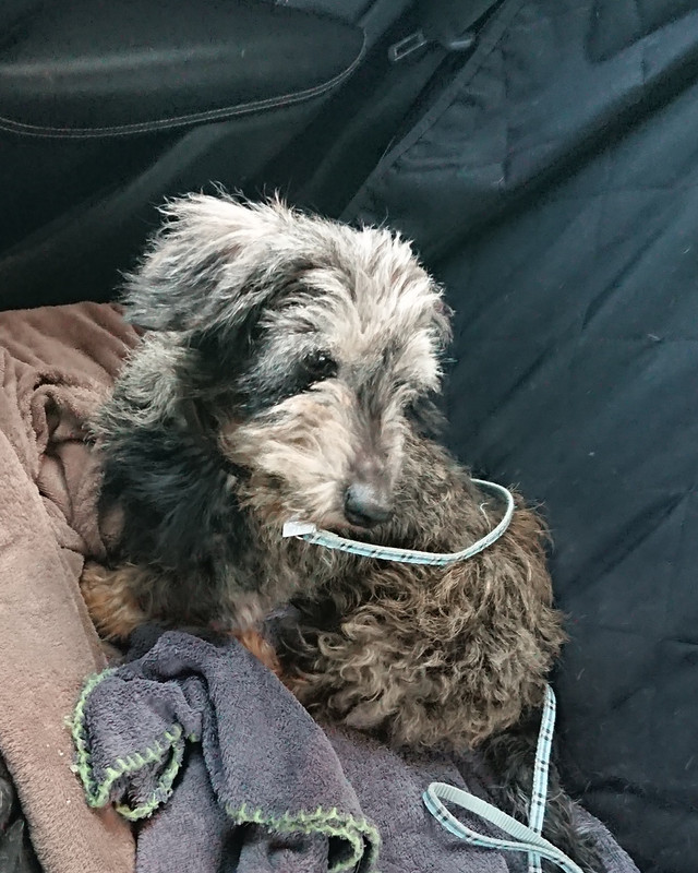 [Image: 20241124-161715.jpg]