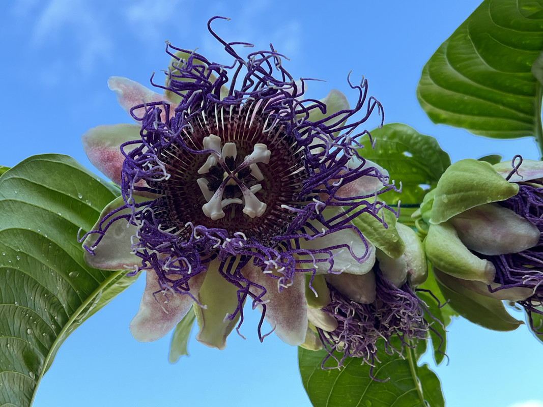 F1015FB3-AE27-48B1-8322-D6548AF6BE00