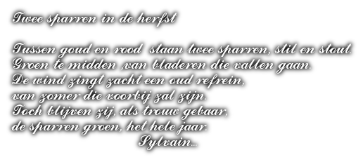 cooltext495757029102308