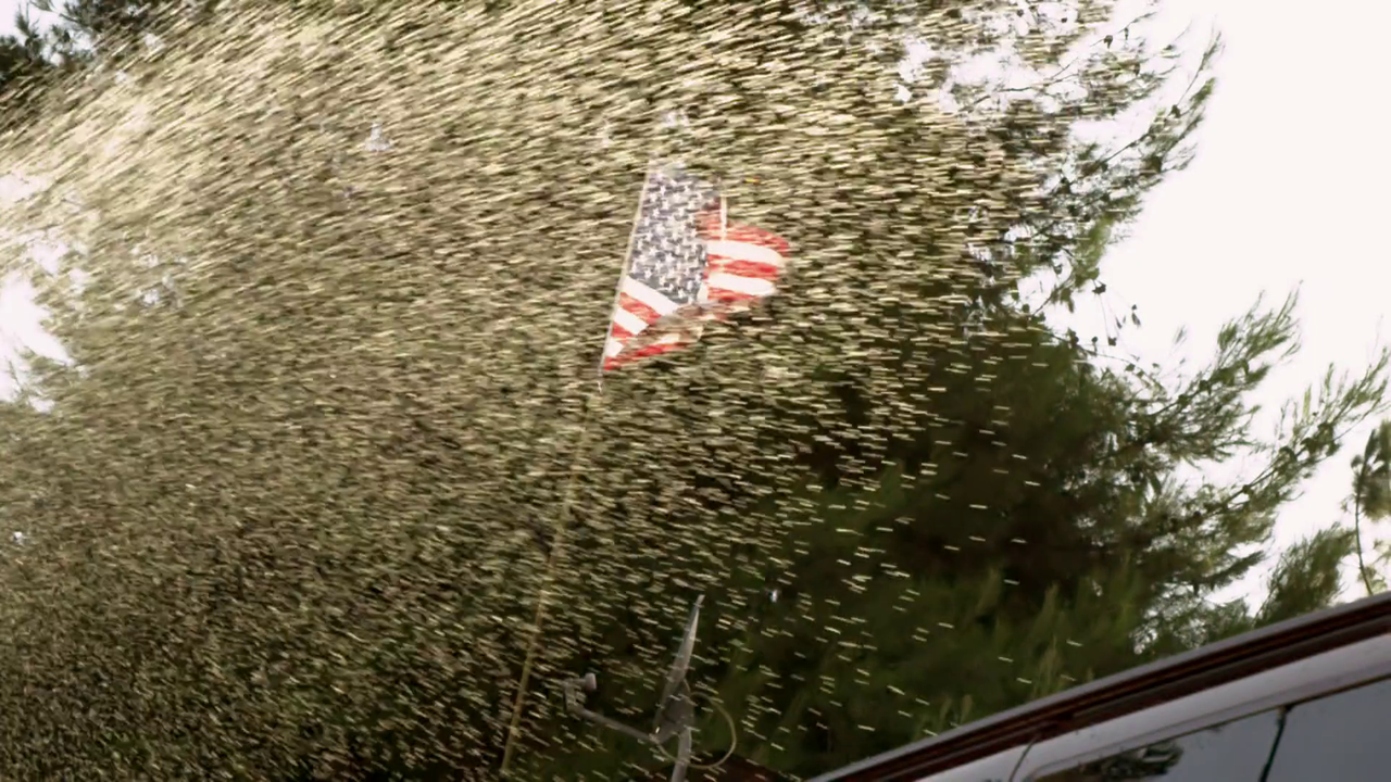 vlcsnap 2026 04 20 10h49m26s208