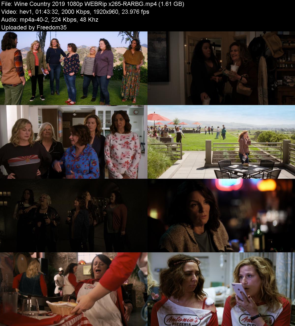 Wine-Country-2019-1080p-WEBRip-x265-RARB