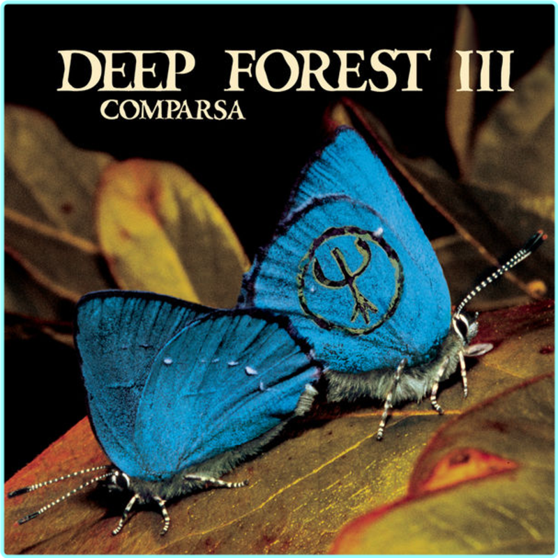 [Image: u5b5q3u9nldk.png]