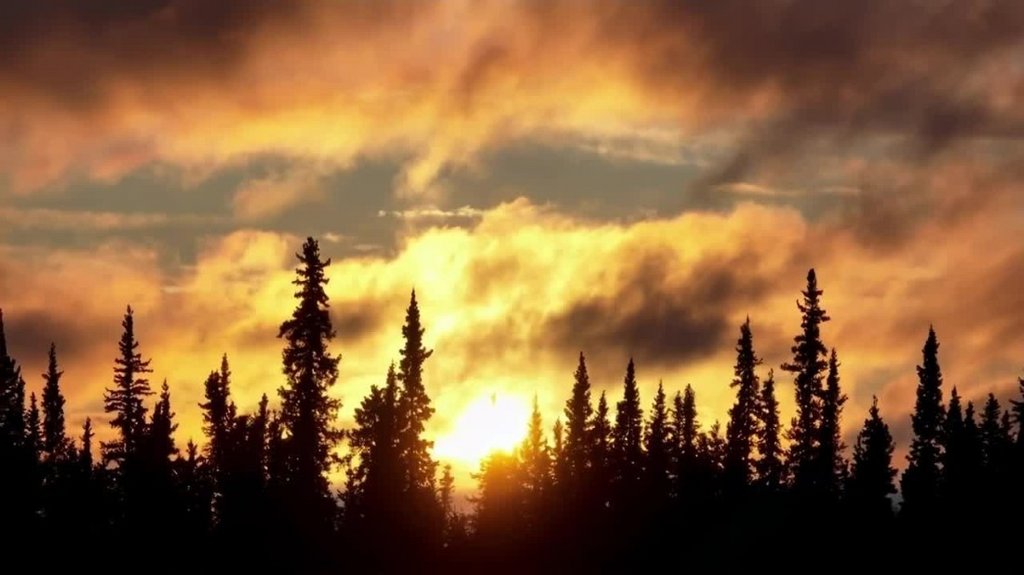 [Image: 2t43kbz9nqmj.jpg]