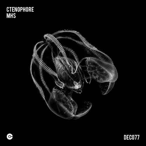 00-mhs-ctenophore-dec077-web-2026-cover.