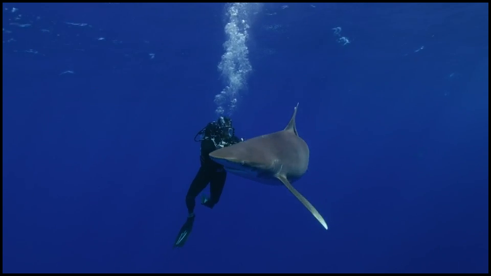 [Image: fg330wifj4ep.png]