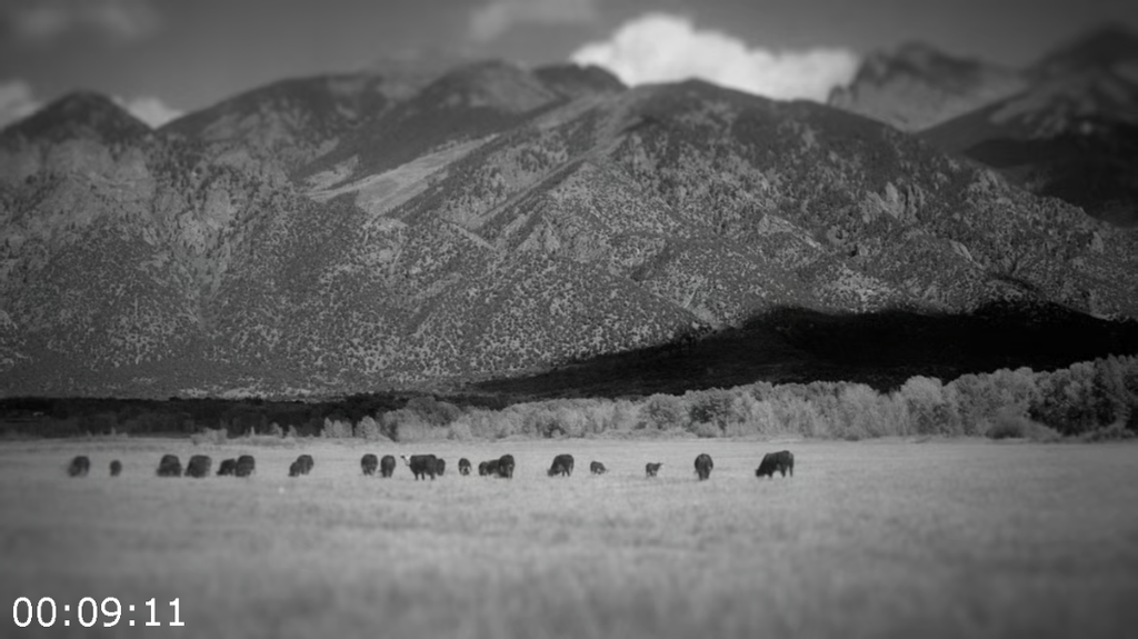 [Image: kcil4b7oe52g.png]