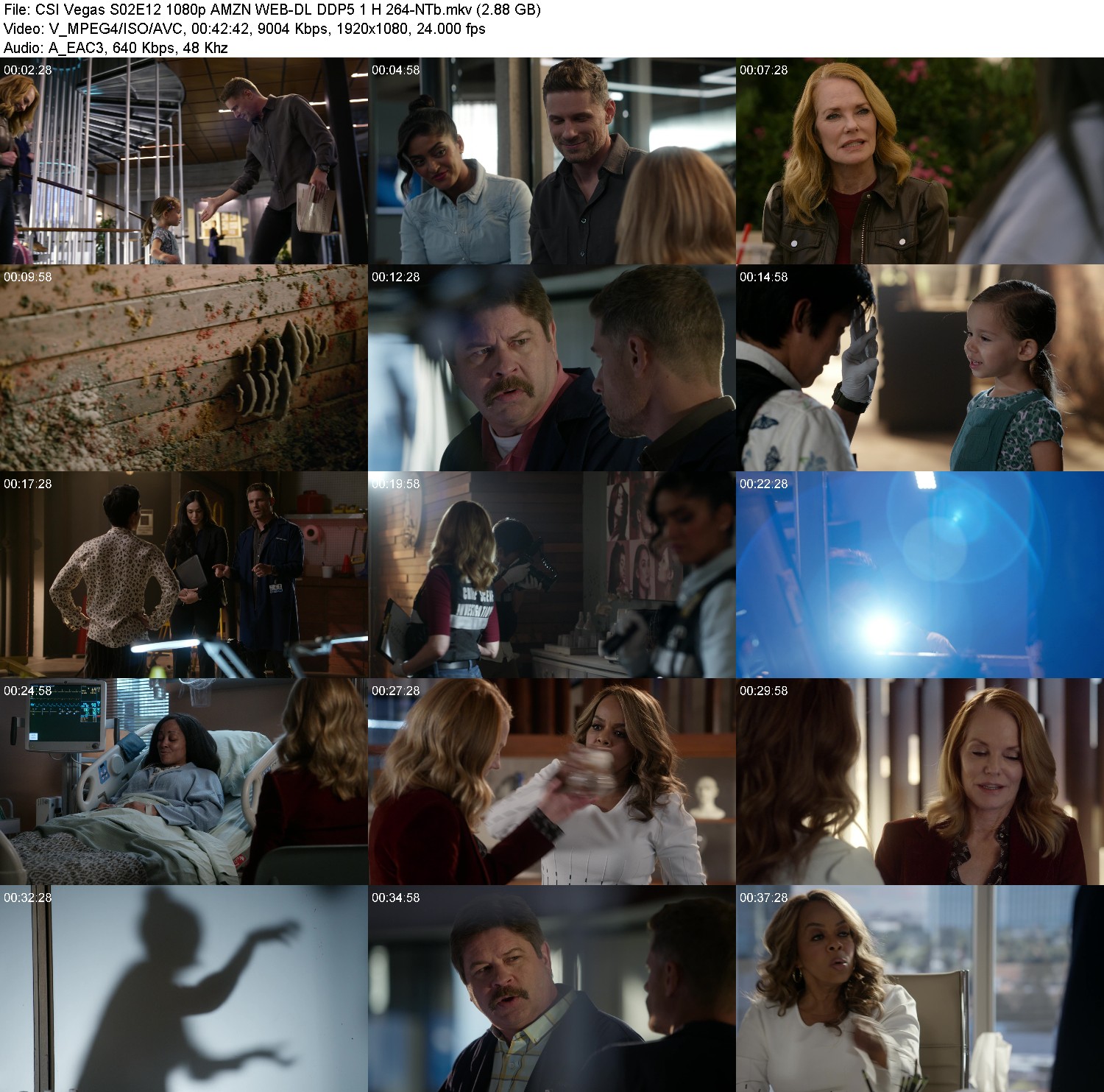 [Image: z5bhdf58yux9.jpg]