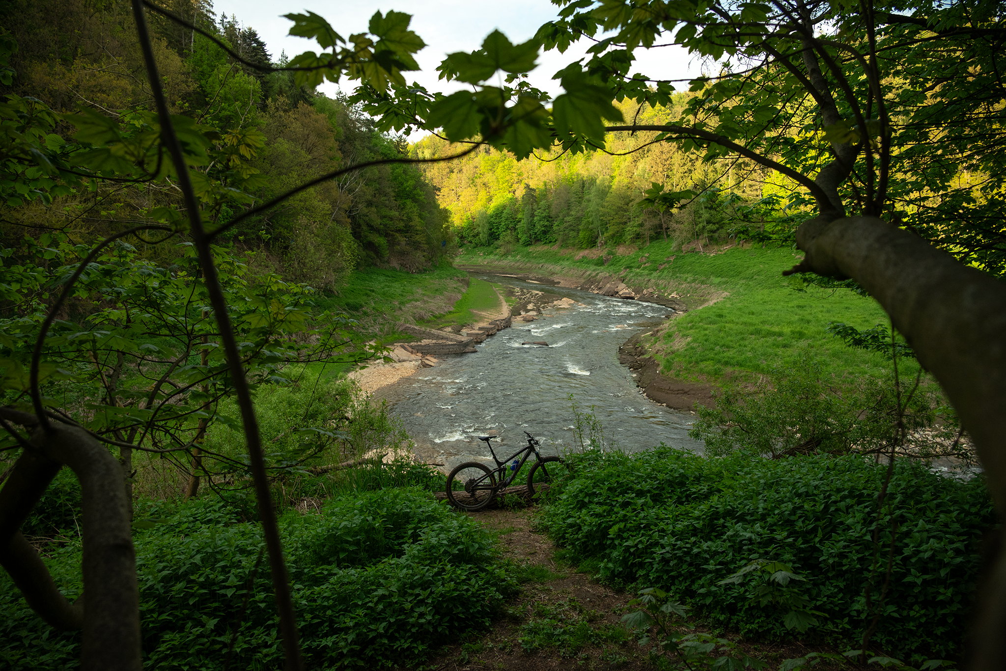 DSC-3279.png
