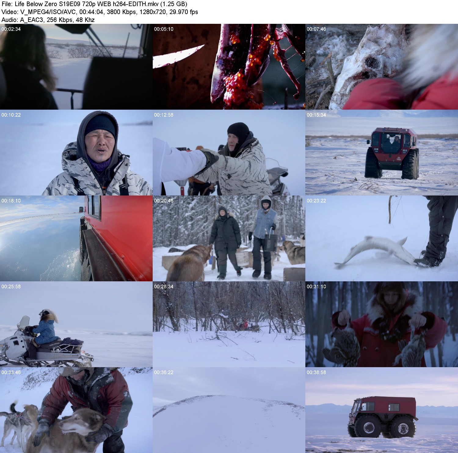 [Image: s935dm4molwi.jpg]