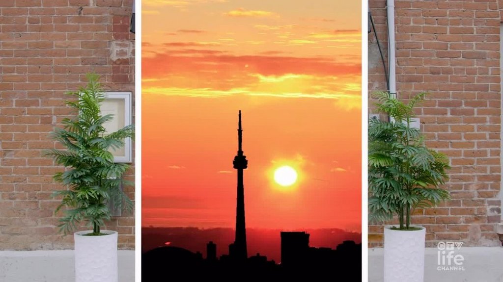 [Image: az6fb70basa3.jpg]