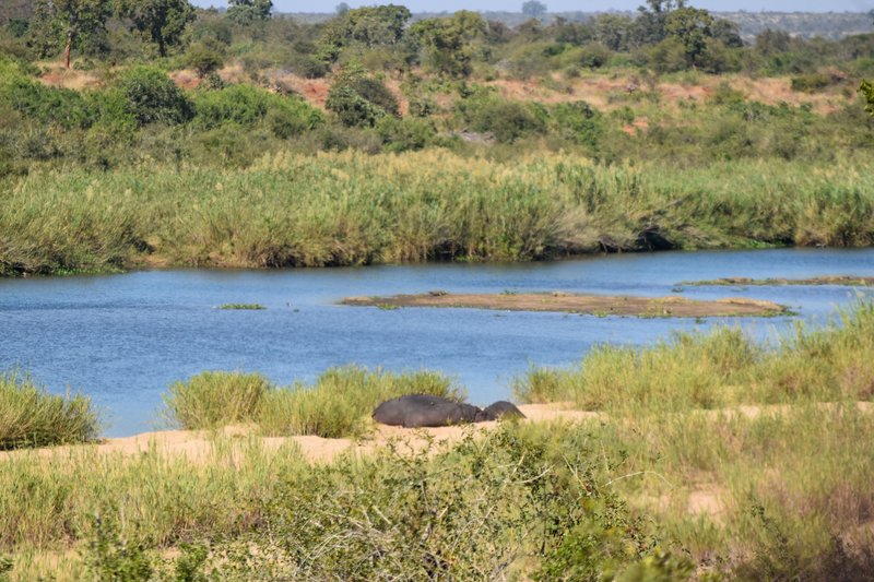 Африканские каникулы - зверики Крюгера, пески Намибии, воды Виктории