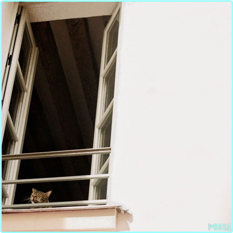 [Image: 1ek0vwmi1t4j.png]