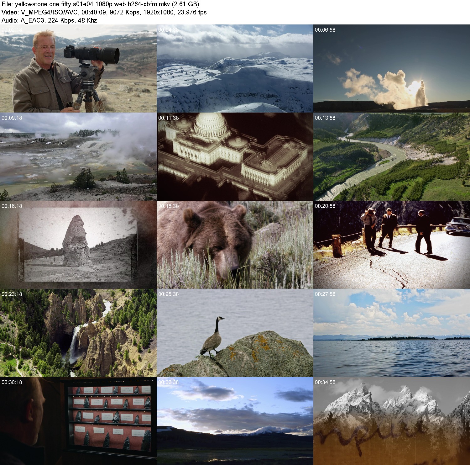 [Image: 5vqzte2c0g2c.jpg]