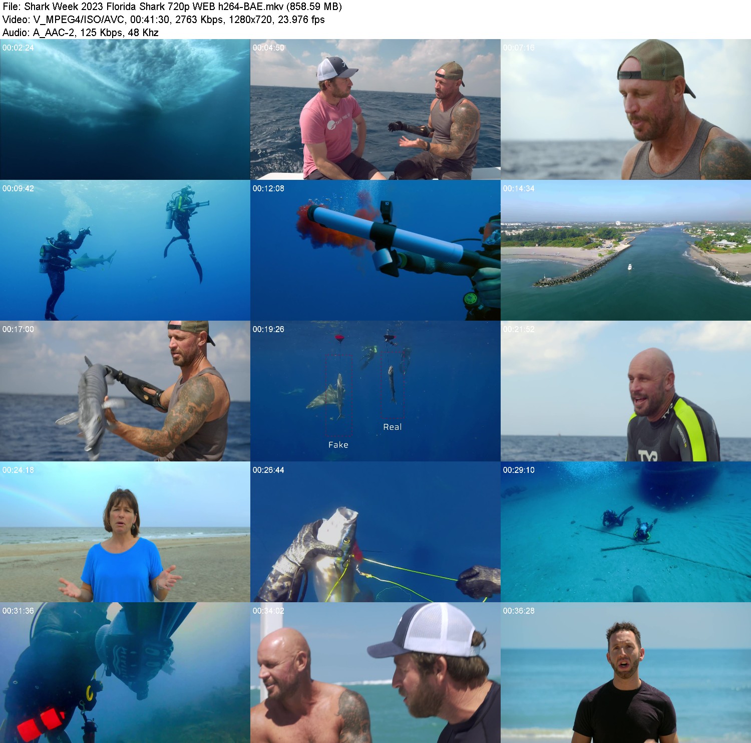 [Image: 78rn4wix1yxr.jpg]