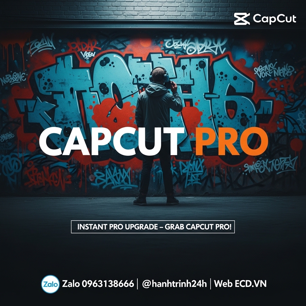 capcut promo pro