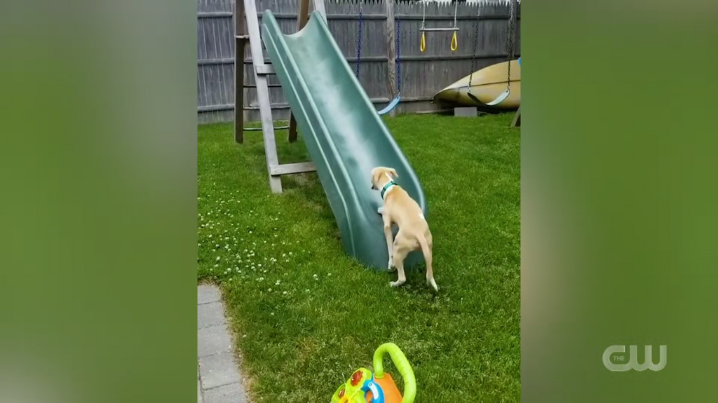 [Image: 3i2t9sgtm9fz.png]