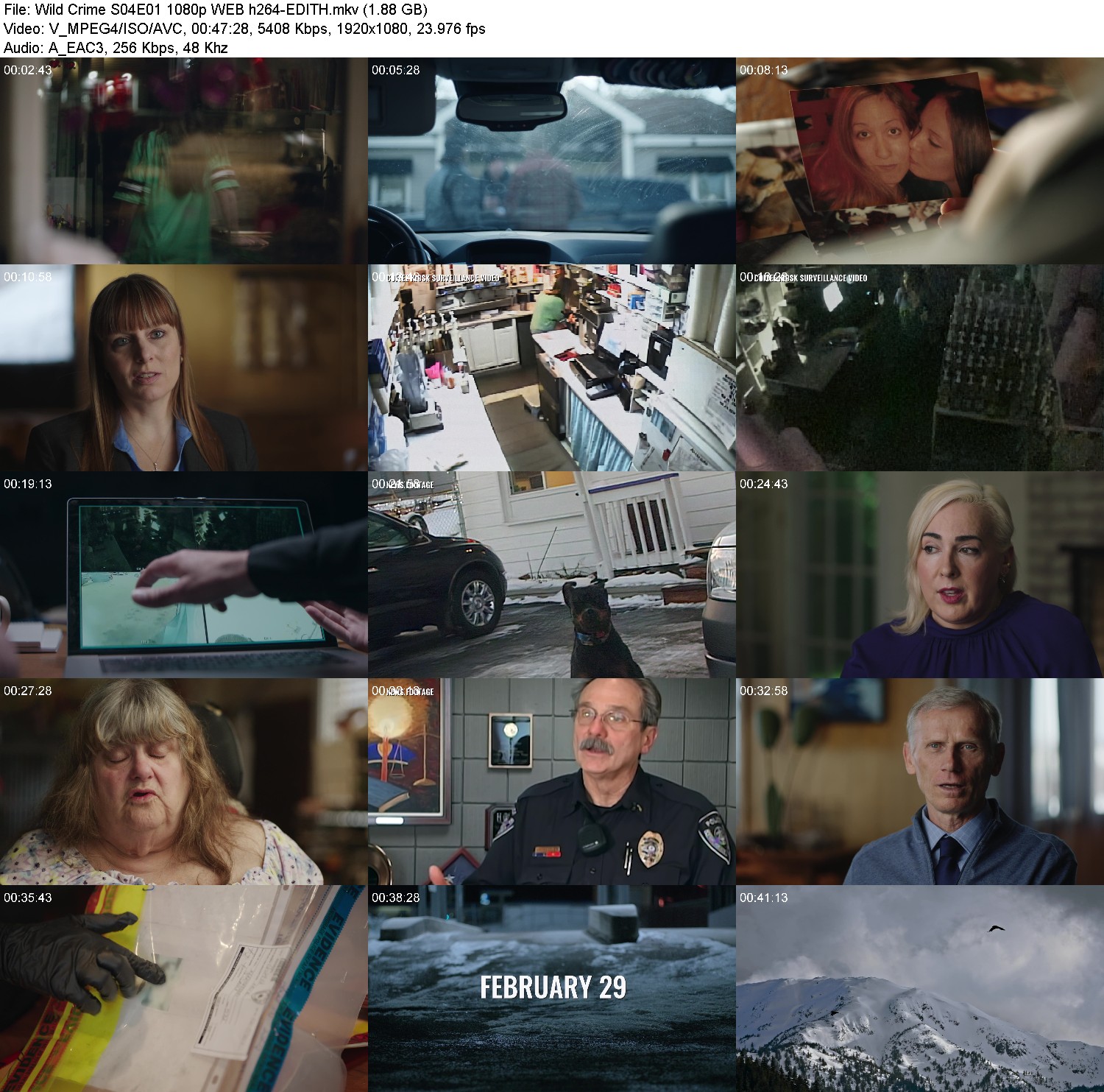 [Image: qh8srtx6yp63.jpg]