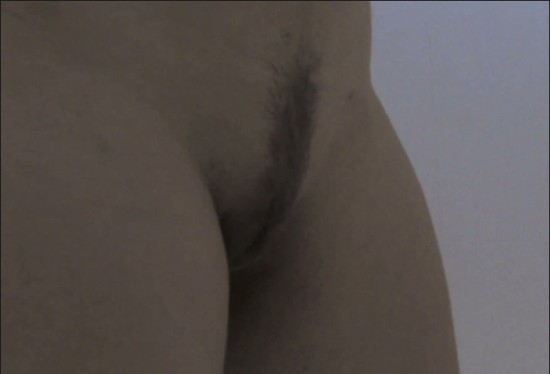 [Image: Voyeur50435103626.jpg]