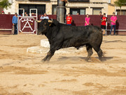 IMG-0024