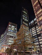 PXL_20211103_193218459