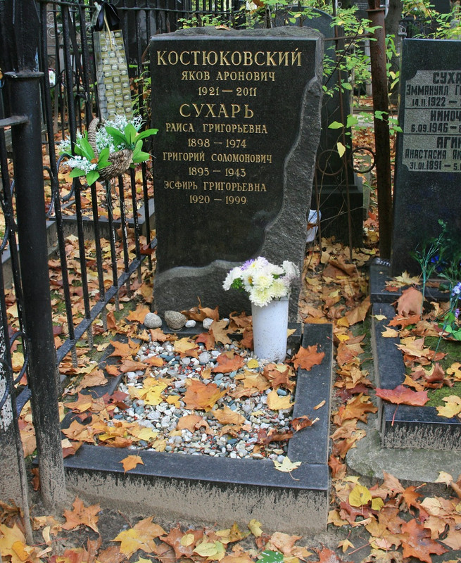 grave-kostyukovsky-ya-a