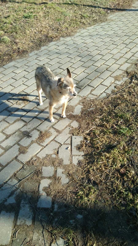 F53CA858-A0A9-45DE-A68E-9F9D72167962