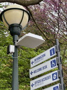 IMG-8238