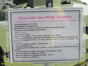IMG-0666