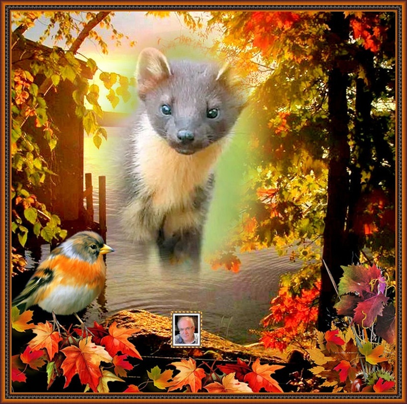 MOOIE-KATER-2