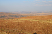 IMG-0263