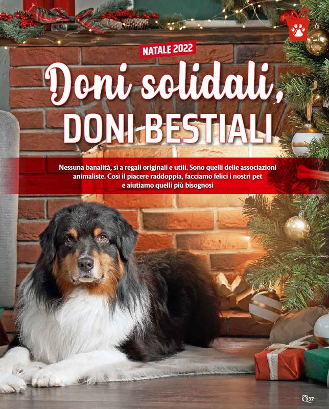 QuattroZampe Dic 2022-Gen 2023 (1)