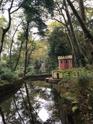 D950CE4F-8D2D-4A08-B6DA-7570E030F2E4