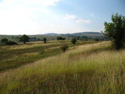 ADP Free party Balscha 2009 017