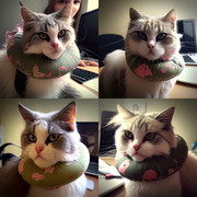 43AFFEAA-9A34-4DF1-9C76-614CD3BB7A49