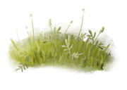emeto-summer-playground-grass-overlay-3
