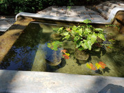 25 Никитский сад