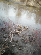 IMG-20200506-210050