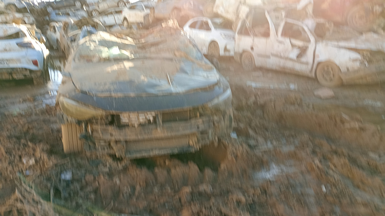 IMG_20250107_094556316_MFNR