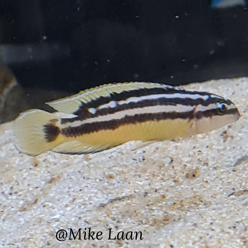 IMG_20220412_125310_923