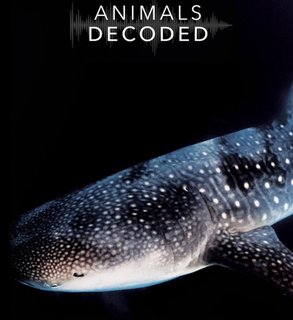 Animals-Decoded-Az-llatok-nyelv-n.jpg