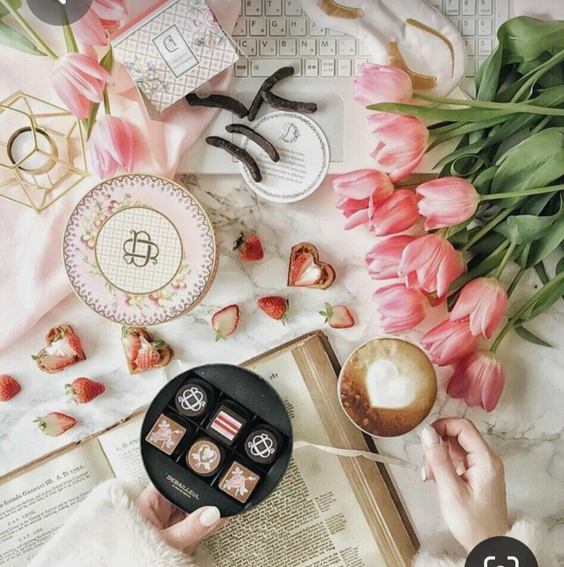 Screenshot_20230227_234421_Pinterest