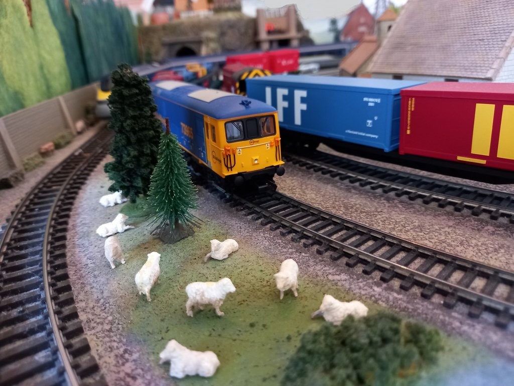 20210623_103353_LI (2)