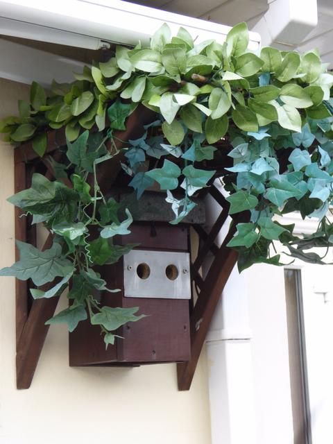 034CE474-C51B-4ABA-AFEF-13082BE3024B