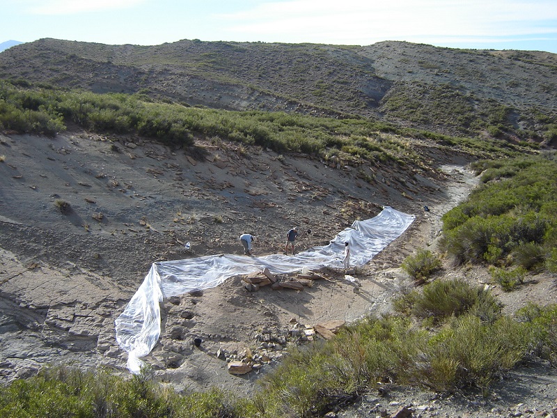 foto-Parque-Huellasde-Dinosauriosen-Malarg-e3