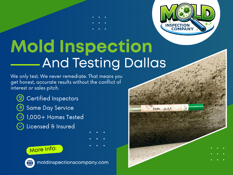 Mold Inspection And Testing Dallas