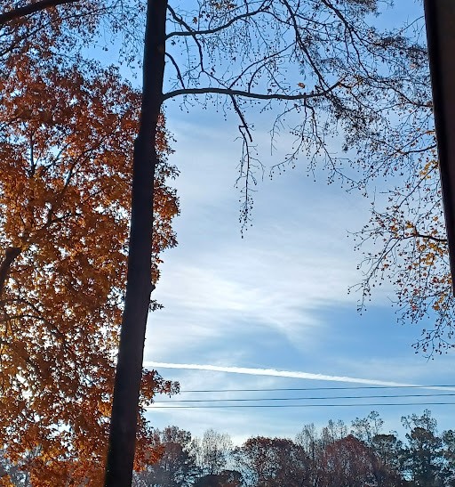 Sunday 16 Nov 2025 8 28AM