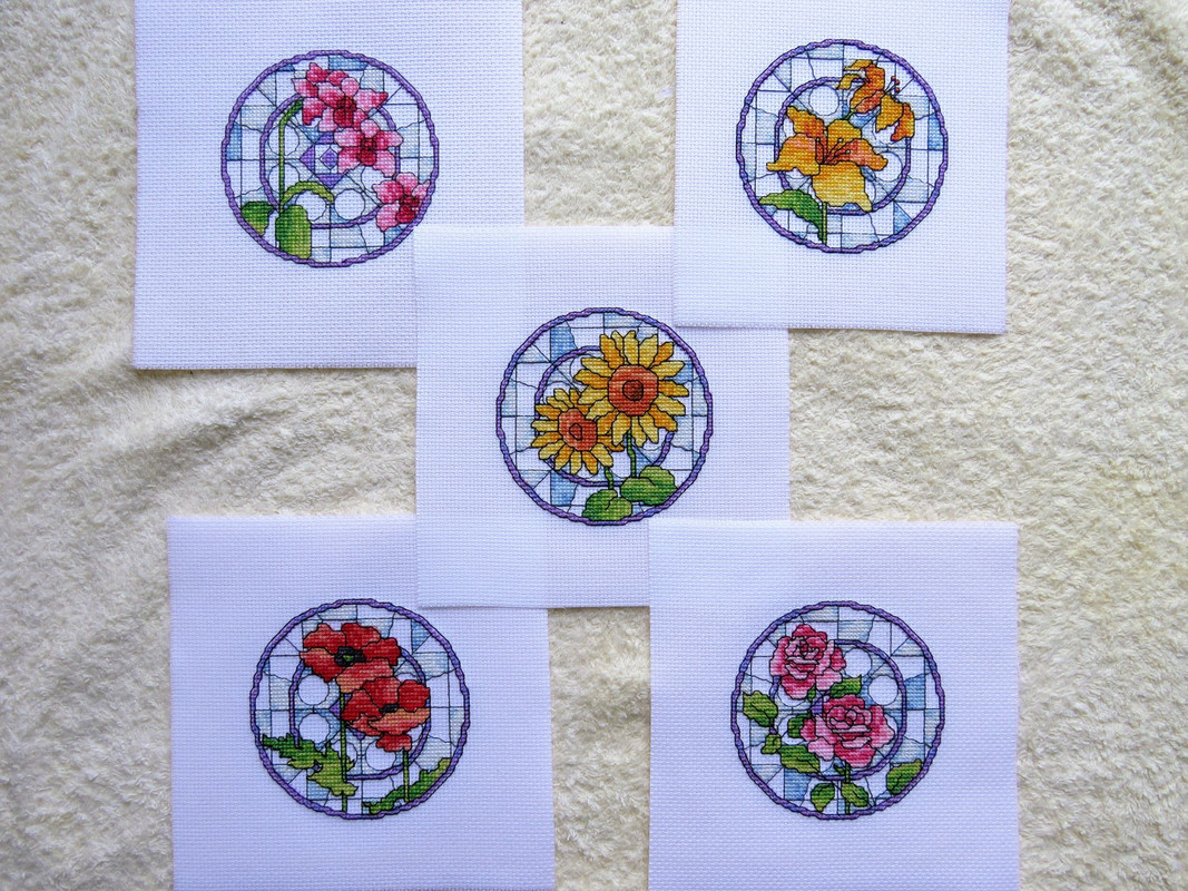 IMG_1012 (2) (Large)